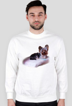 Bluza Nikodem Medytując