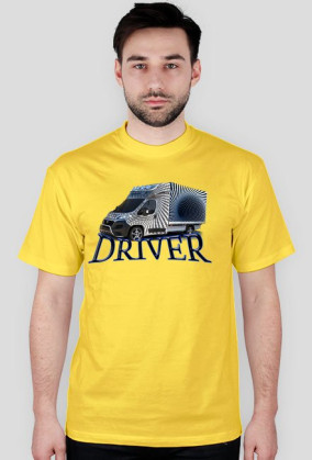 DRIVER3