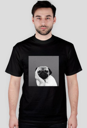 pug