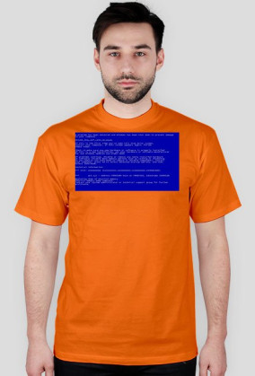 Bluescreen Windows