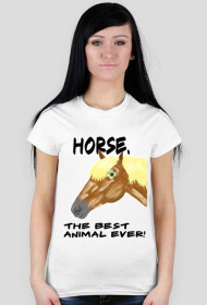 Horses.