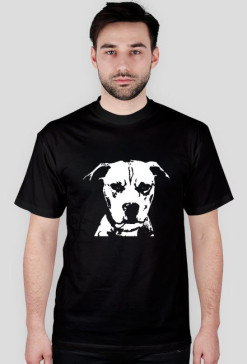 Pitbull