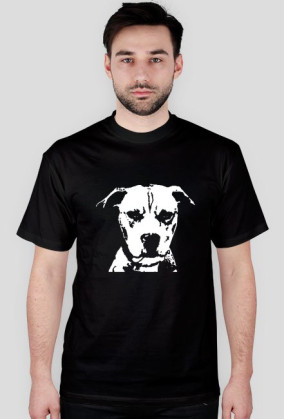 Pitbull
