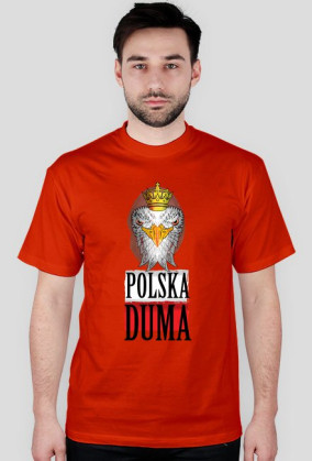 Polska Duma 4