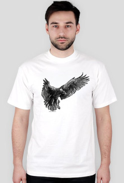 hawk