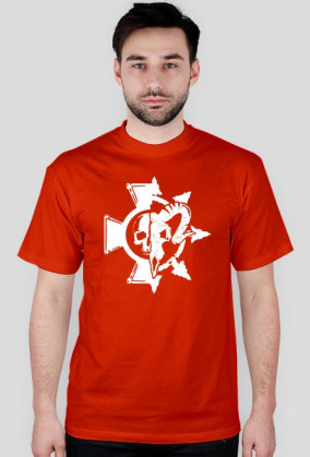 Larp Fort 2015