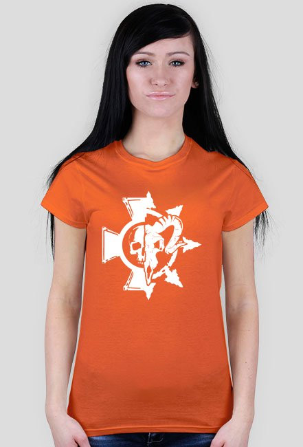 Larp Fort 2015