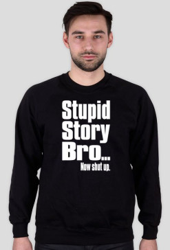 Stupid Story Bro