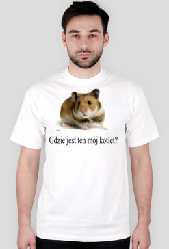 poszukiwanie kotleta