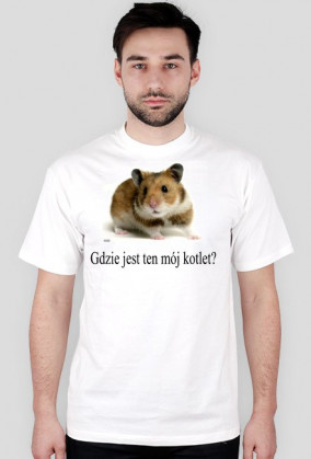 poszukiwanie kotleta