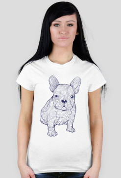 Doodle dog