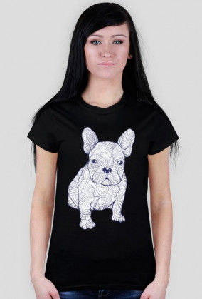 Doodle dog
