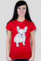 Doodle dog