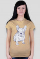 Doodle dog