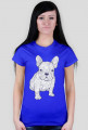 Doodle dog