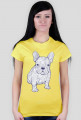 Doodle dog