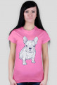Doodle dog
