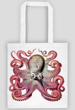 Cool octopus