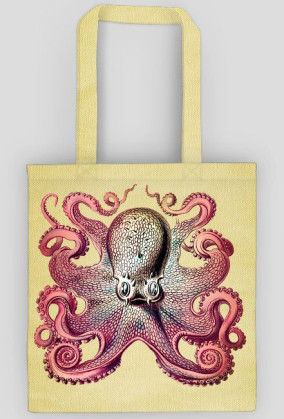 Cool octopus