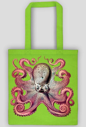 Cool octopus
