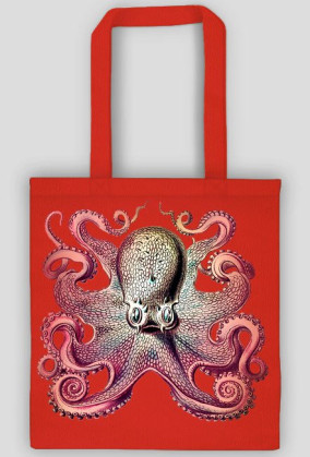 Cool octopus