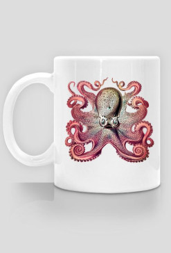 Cool octopus