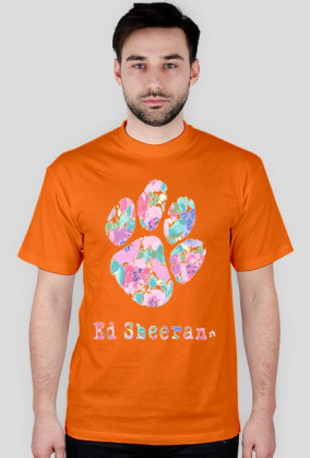 Ed Sheeran znak męska