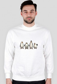 pingwiny z madagaskaru