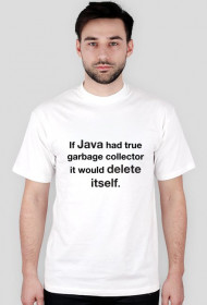 Java deletes itself :)