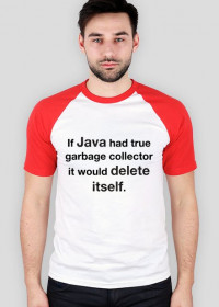 Java deletes itself :)