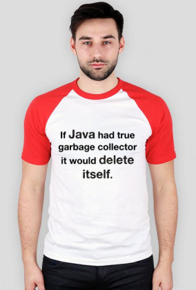 Java deletes itself :)