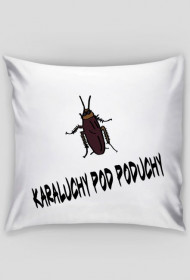 Karaluchy pod poduchy