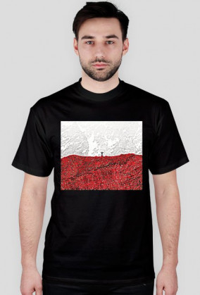 Polska flaga