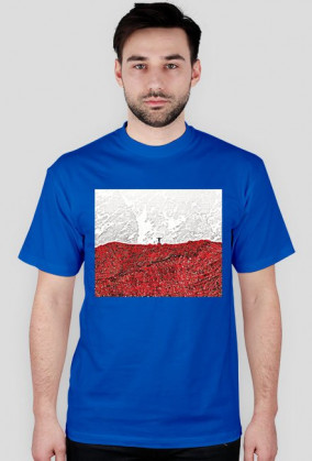 Polska flaga