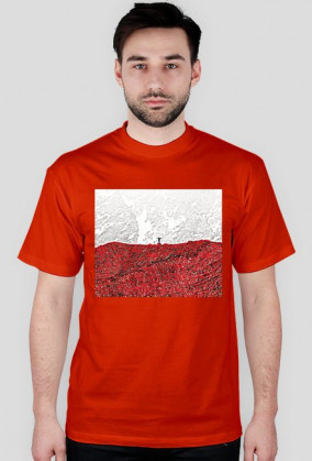 Polska flaga