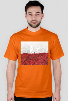 Polska flaga
