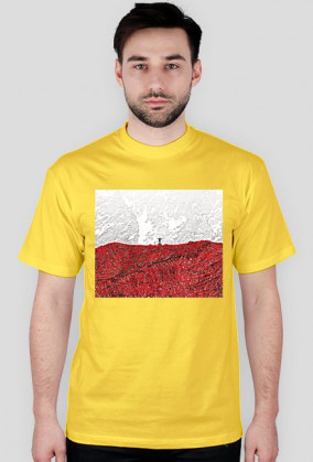 Polska flaga