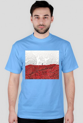 Polska flaga
