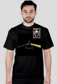 Pink Floyd Shirt.