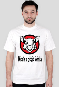 Świnka