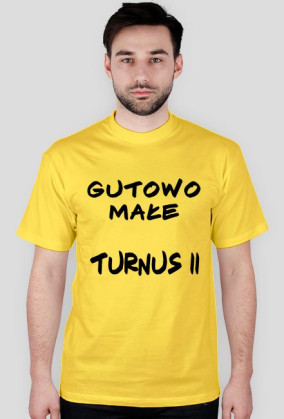 Turnus II