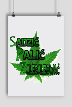 Sadzić Palić Zalegalizować