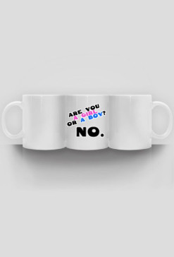 Are You a Girl or a Boy? No.