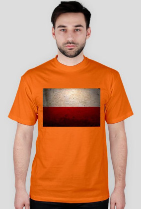 Polska flaga .
