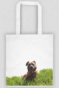 SOS dla Zwierząt Śmigiel - EkoTorba Stefan