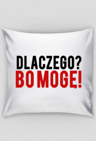 Dlczego? Bo mogę! Poduszka