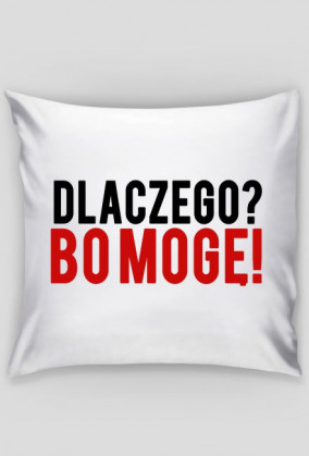 Dlczego? Bo mogę! Poduszka