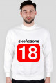 Blouse skończone 18