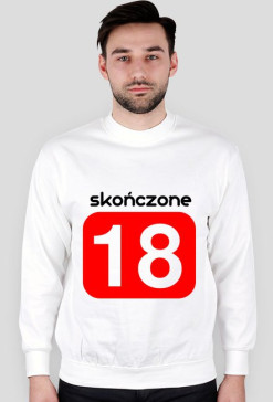 Blouse skończone 18