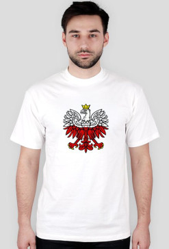 ORZEŁ 3 regular